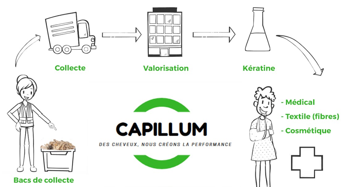 Capillum